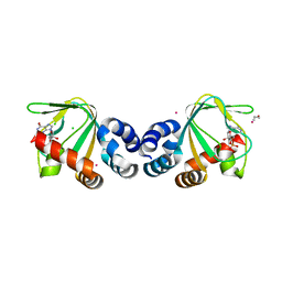 BU of 3cl1 by Molmil