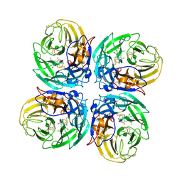 BU of 3cl2 by Molmil