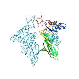 BU of 3cl4 by Molmil