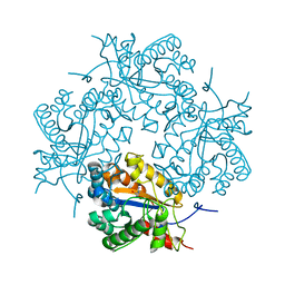 BU of 3cl8 by Molmil