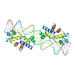 BU of 3clc by Molmil