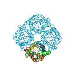 BU of 3cll by Molmil