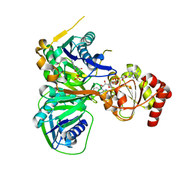 BU of 3cls by Molmil