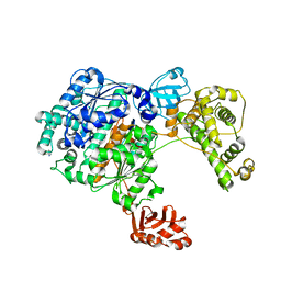 BU of 3cmm by Molmil