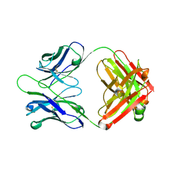 BU of 3cmo by Molmil