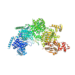 BU of 3cmt by Molmil