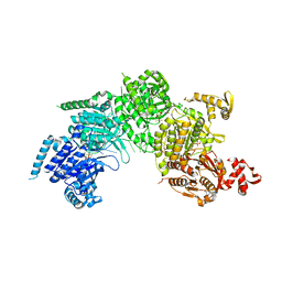 BU of 3cmw by Molmil