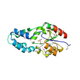 BU of 3cnh by Molmil