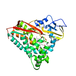 BU of 3cp4 by Molmil