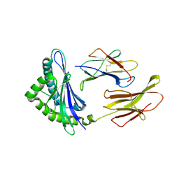 BU of 3cpl by Molmil