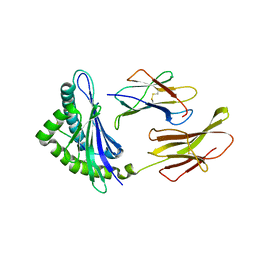 BU of 3cpl by Molmil