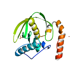 BU of 3cpm by Molmil