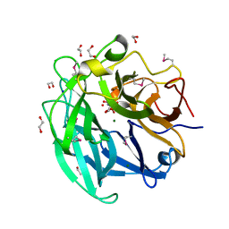AU of 3cpn by Molmil