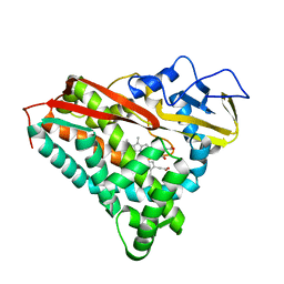 BU of 3cpp by Molmil