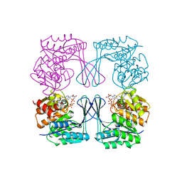 BU of 3cqd by Molmil