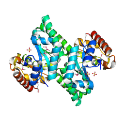 BU of 3cqh by Molmil