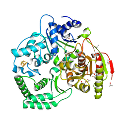 BU of 3crv by Molmil