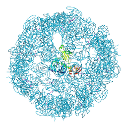 BU of 3cs0 by Molmil