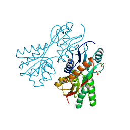 BU of 3cs3 by Molmil