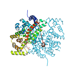 BU of 3csc by Molmil