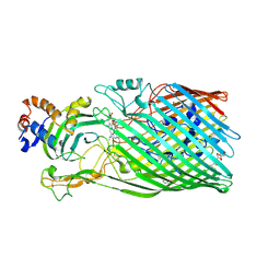 BU of 3csl by Molmil