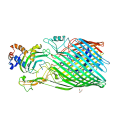 BU of 3csn by Molmil