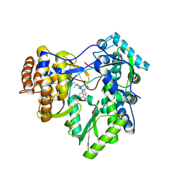 BU of 3cso by Molmil