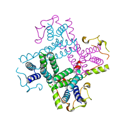 BU of 3ctd by Molmil