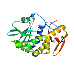 BU of 3ctk by Molmil