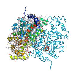 BU of 3cts by Molmil