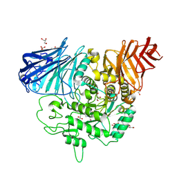 BU of 3ctt by Molmil