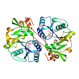 BU of 3cu0 by Molmil