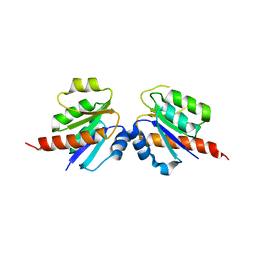 BU of 3cu5 by Molmil