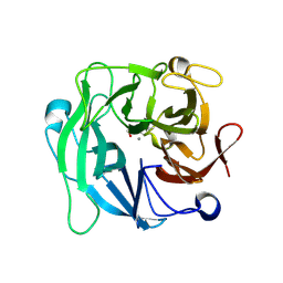 BU of 3cu9 by Molmil