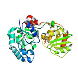 BU of 3cv3 by Molmil