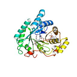 BU of 3cv6 by Molmil