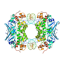 BU of 3cvt by Molmil