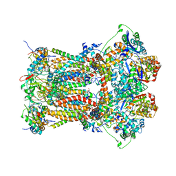 BU of 3cwb by Molmil