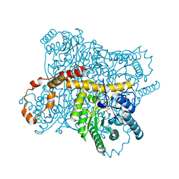 BU of 3cwh by Molmil