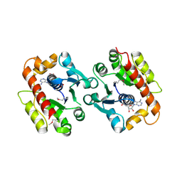 BU of 3cwq by Molmil