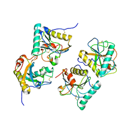 BU of 3cxa by Molmil