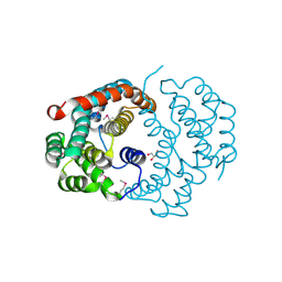 BU of 3cxn by Molmil