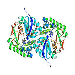 BU of 3cxo by Molmil