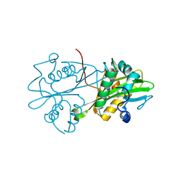 BU of 3cxp by Molmil