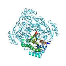 BU of 3cxr by Molmil