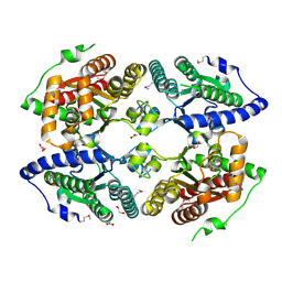 BU of 3czp by Molmil