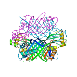 AU of 3d1t by Molmil