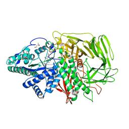 BU of 3d51 by Molmil