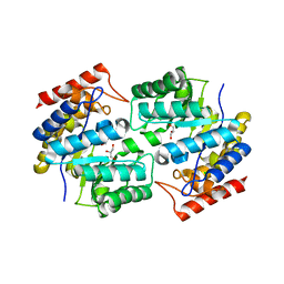 BU of 3daq by Molmil