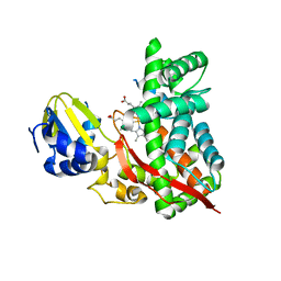 BU of 3dbg by Molmil